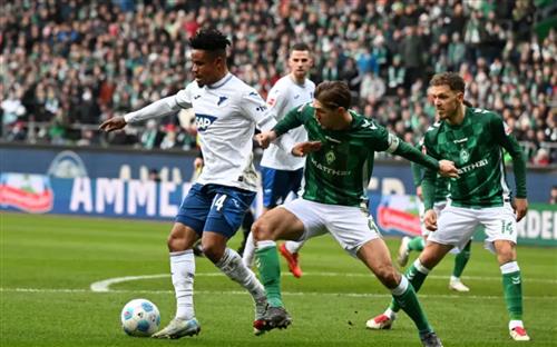 Werder Bremen vs TSG Hoffenheim