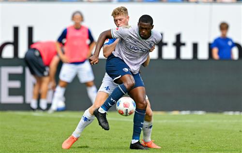 Darmstadt 98 VS Bochum vfl