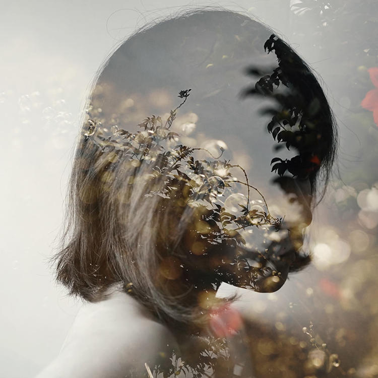 6686体育银牌作者十梦九他