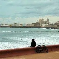 6686体育中级作者盼得悲秋